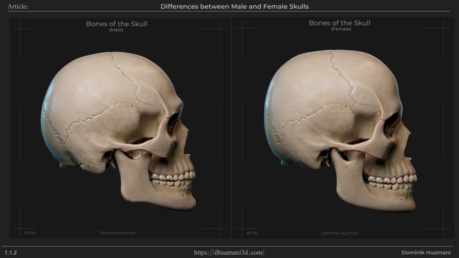 1.1.2_frontalEminence
